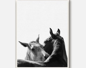 Horse Wall Art, Horse Print, Black and White Photography, Modern Art, Equestrian Art, Scandinavian Print, Printable Art, Wilderness animals