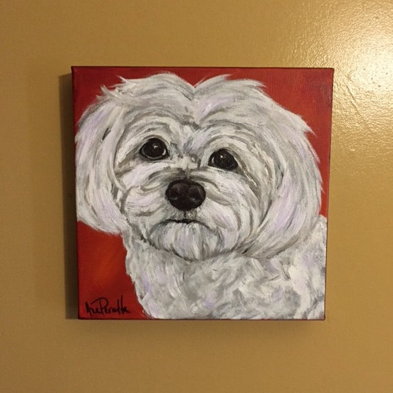 Maltese Portrait 10x10 acrylic painting by Ana Peralta