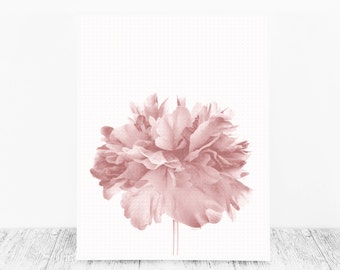 Blush Pink Peony, Printable Blush Pink Print Peony Pink Printable Peony Blush Pink Printable Pink Peony Instant Download Digital Photography