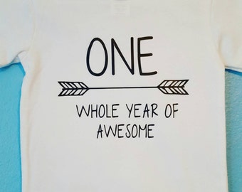 FREE SHIPPING - First Birthday shirt/ one whole year of awesome - boy or girl