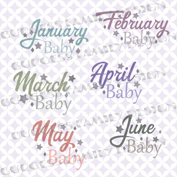 Download Monthly baby New Baby svg All 12 months Bundle Cuttable design