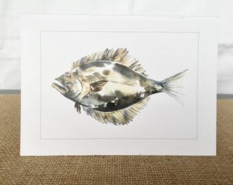 California Halibut Watercolor Greeting Card A7