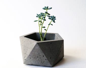 Concrete Planter / Geometric Industrial Decor / Icosahedron / Succulent, Cactus or Air Plant Pot / Ring Dish / Minimalist Accent Piece