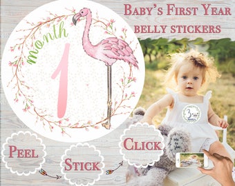 Month Stickers Girl Shower Gift Infant Growth Stickers Baby Stickers Baby Milestones Infant month Tropical Flamingo month Stickers Month