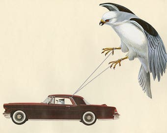Go fly a kite. Original mixed media collage by Vivienne Strauss.