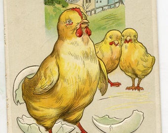 Easter Postcard Chicks egg shells, vintage postcard, SharonFosterVintage