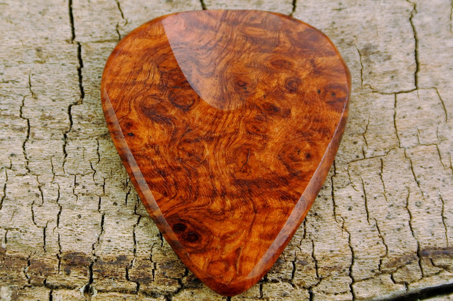 Amboyna Burl EXTREMELY RARE WOOD Limited Availability