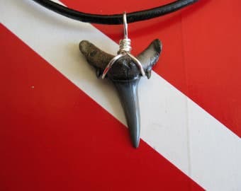 Shark Tooth Necklace,Sand Tiger Shark fossil, Venice-Florida, 18" leather, Silver plated wire wrap