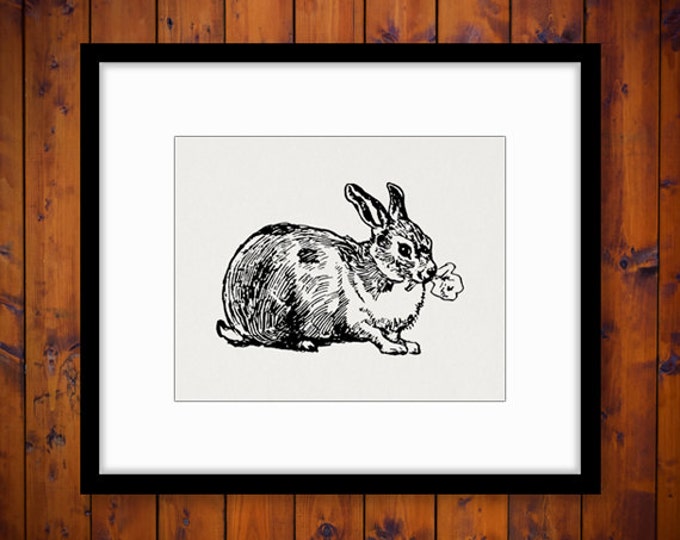 Printable Image Rabbit with Leaf Graphic Cute Bunny Digital Download Antique Clip Art Jpg Png Eps HQ 300dpi No.3489