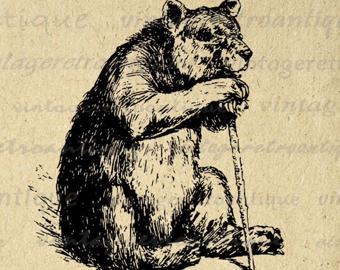 Little Old Bear Printable Image Graphic Download Digital Artwork Antique Clip Art Jpg Png Eps HQ 300dpi No.2922