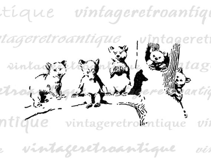 Printable Image Bear Cubs on Tree Branch Graphic Digital Cute Download Antique Clip Art Jpg Png Eps HQ 300dpi No.870