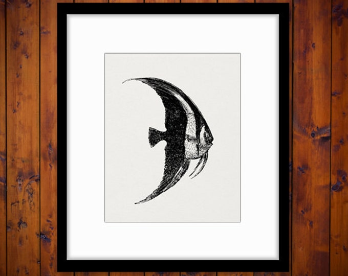 Digital Printable Antique Fish Graphic Ocean Download Image Vintage Clip Art for Transfers Printing etc HQ 300dpi No.598