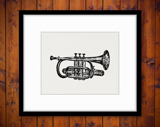 Printable Digital Cornet Trumpet Graphic Music Instrument Download Band Image Vintage Clip Art Jpg Png Eps HQ 300dpi No.1115