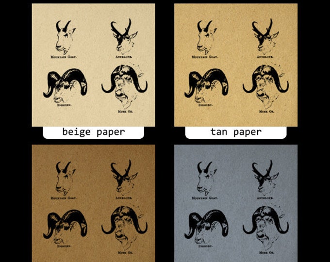 Printable Mountain Goat Antelope Big Horn Ox Digital Download Image Graphic Vintage Clip Art Jpg Png Eps HQ 300dpi No.1078