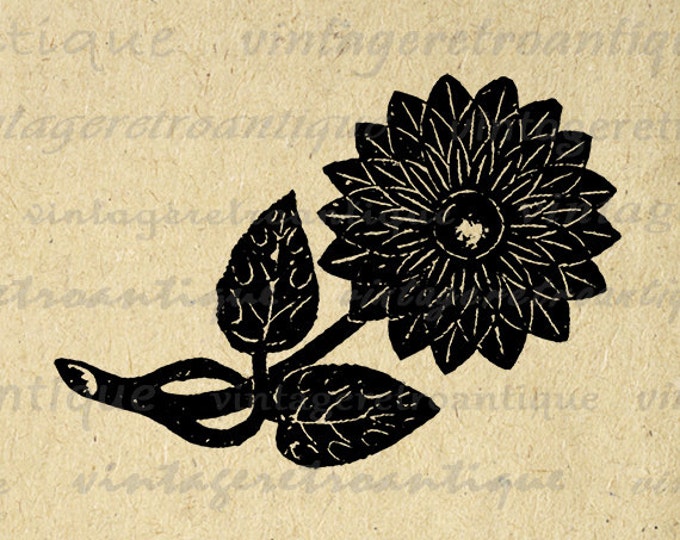 Printable Graphic Flower Image Illustration Download Digital Vintage Clip Art Jpg Png Eps HQ 300dpi No.1332