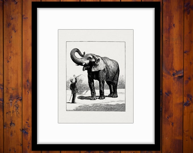 Digital Elephant Graphic Image Antique Download Printable Vintage Clip Art Jpg Png Eps HQ 300dpi No.772