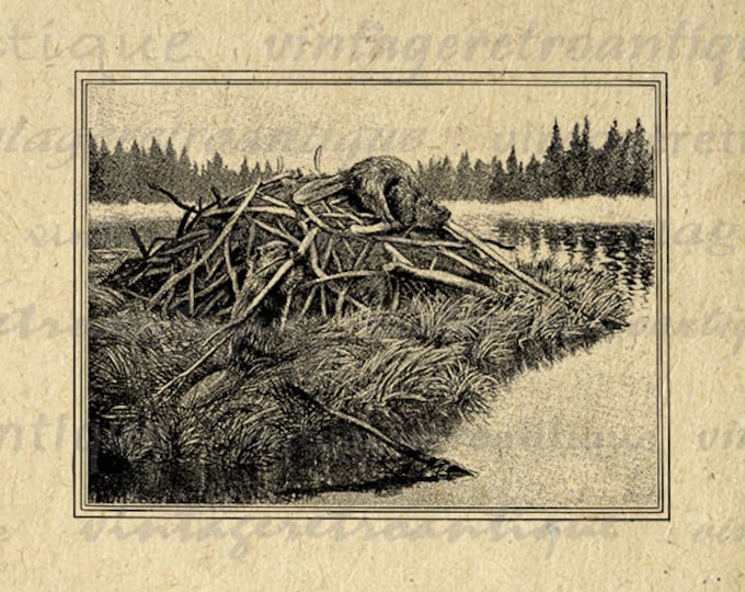 Beaver Dam Graphic Digital Image Download Printable Jpg Png Eps HQ 300dpi No.777