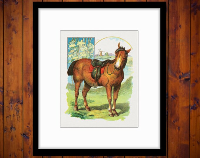 Classic Horse Illustration Digital Image Download Printable Graphic Vintage Clip Art No.2053