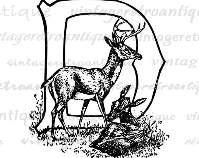 Deer with Letter D Printable Image Download Letter D Digital Deer Graphic Antique Clip Art for Transfers Printing etc HQ 300dpi No.4709