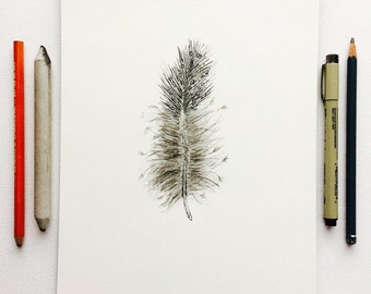 Spotted Fluffy Feather 8x10 Pencil Ink and Charcoal Drawing by WoodlandMeadows
