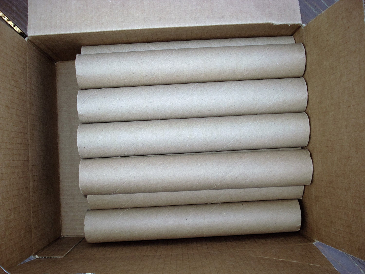 15 Empty Paper Towel Rolls Craft Making Supplies from HanNoGram on