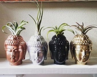 Buddha planter with plant, air plant holder, Thai Buddha, spiritual gift