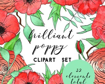 Floral Clipart, Watercolor Poppy Clipart, Watercolor Clipart, Wedding Clipart, Flower Clipart, Hand Painted Clipart