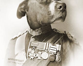 Custom Antique Pet Portraits