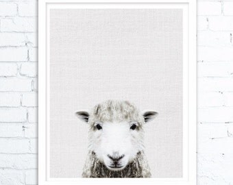 Sheep print, Farm animal print, Farmhouse decor, Farm animal wall art, Sheep art, Sheep wall art, Sheep print,Animal room decor
