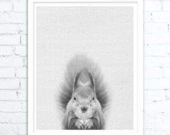 Wall Art Animals, Squirrel Print, Woodlands Nursery Wall Art, Forest Animal, Printable Decor, Baby Shower Gift, Squirrel Art