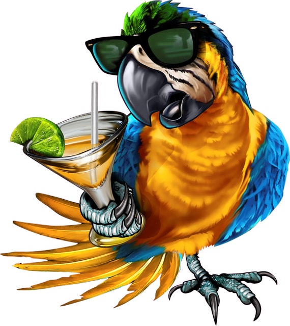 Download 5 O'clock somewhere decal full color parrot decal
