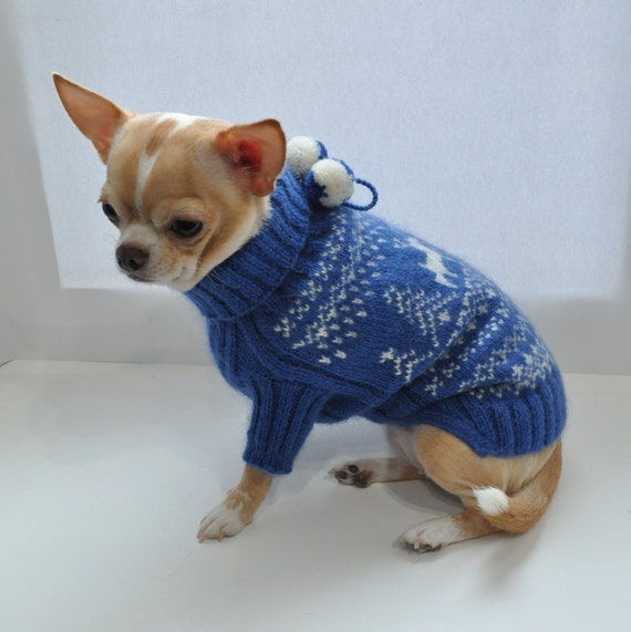 Cheap dog sweaters for chihuahuas Northfield dress