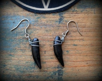 Black coyote teeth earrings//Ethical taxidermy//Bone jewelry//Curiosities and oddities//Witchy//Occult