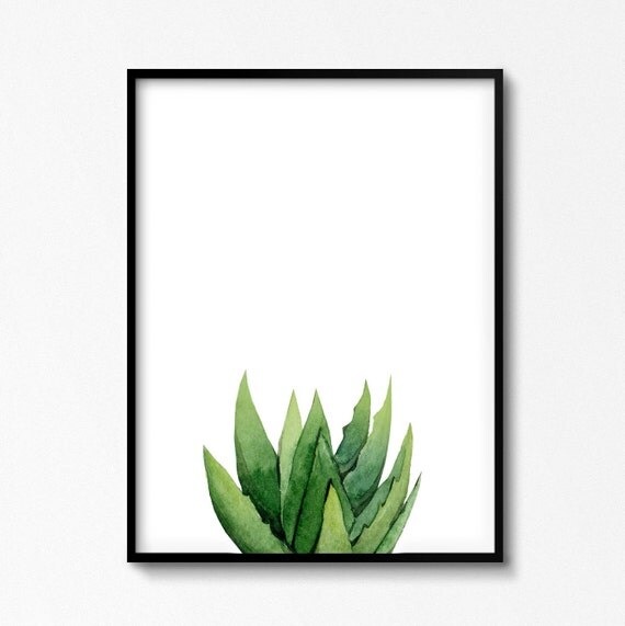 Succulent painting. Aloe Watercolor. Aloe Vera by ArtbyASolo