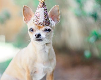 Dog Party Hat || Cat Hat || Animal Hat Dog Crown || Busters Party Shop || Birthday Crown || Party Supplies