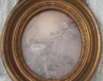 Homco Gold ornate Vintage Frame with Blue Bird Print