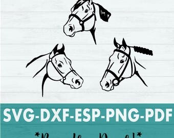 Horse SVG - Horse Head SVG - Horse Clip Art - Horse Head Clip Art - Horse Vector - Horse PNG - Horse Graphic - Horse Cut File -