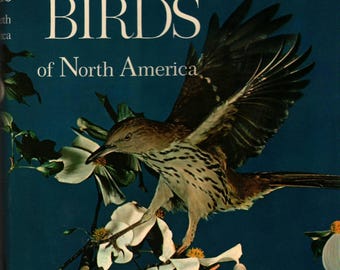 Song and Garden Birds of North America - Alexander Wetmore - 1964 - Vintage Book