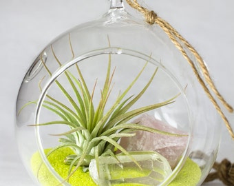 Hanging Terrarium Kit || Air Plant + Rose Quartz + Clear Quartz + Yellow Sand ||
