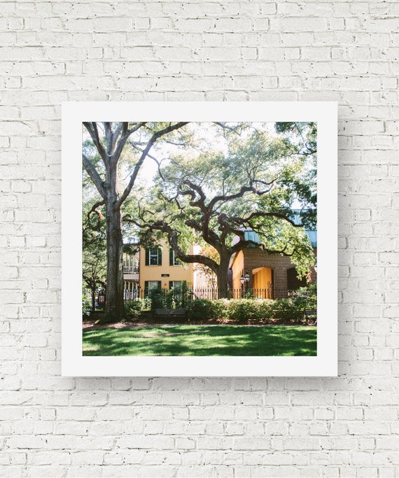 Charleston photography Charleston print Charleston wall art
