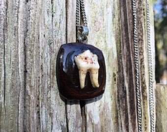 Deer Tooth on Wooden Plaque Necklace