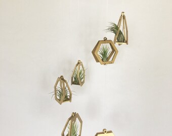 air plant mobile > hexagon design > gold