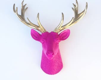 ANY COLOR Resin Small Deer Head // Faux Taxidermy // Antler Rack // Fawn // Hunting Decor // Woodland Nursery // Boy Girl Gift // Office