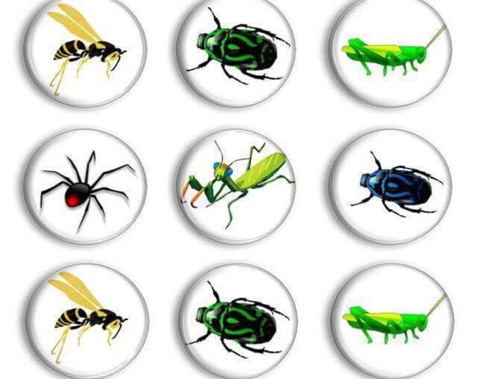 Insect Magnets - Montessori Learning - Entomology - Nature - Bugs - Fridge magnets - Refrigerator magnets - Science curriculum