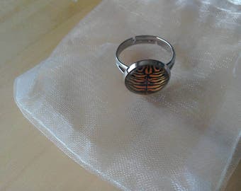 Tiger stripe adjustable dome ring