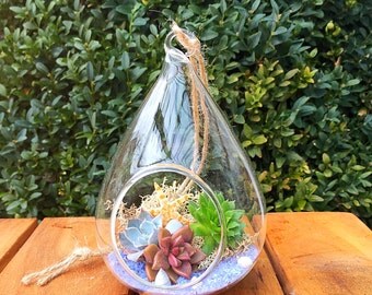 Hanging terrarium/succulent terrarium/beach theme/succulent planter/succulent garden/hanging planter/moss terrarium/air plant