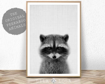 Racoon Print, Nursery Decor, Baby Shower, Animal Photo, Woodland Animal Wall Art, Digital Download, Large Printable Poster, Black and White