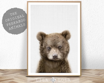 Baby Bear, Digital Download, Woodland Nursery Decor, Wall Art Print, Printable Kids Room Large Poster, Bear Cub Nursery Animal, Colour Photo