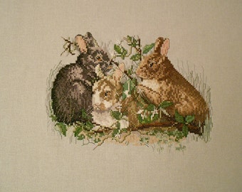 Bunnies