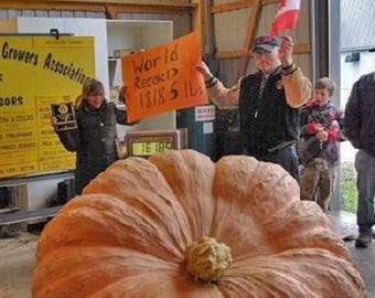 Pumpkin Dill's Atlantic Giant 5+ SEEDS
